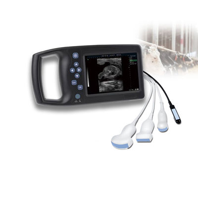 quality Veterinary Ultrasound Probe Medical Equipment Good Support Veterinary Ultrasound Scanner Laptop Ultrasound Sonoscape Livestock Price factory