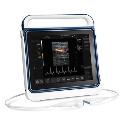 Touch Screen Veterinarian Ultrasound Cow Pregnancy Test Doppler Machine YD-PT60