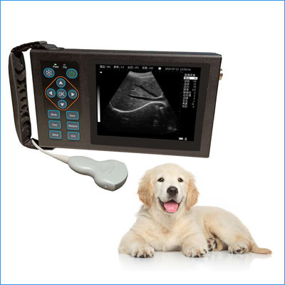 Cheap Livestock Veterinary Ultrasound Machine For Dog Cat Animal Use Good Price