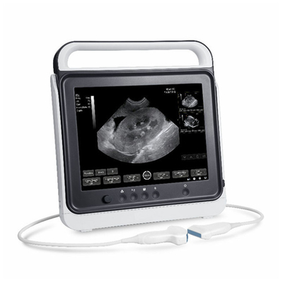 Excellent Quality Touch Screen Veterinary Ultrasound Machine For Bovine And Equine Use