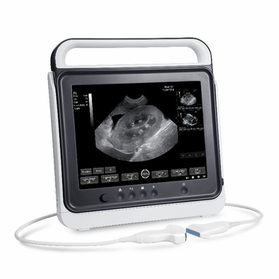 Veterinary Clinic&amp;amp; Research Departments Portable Ultrasound Machine USG PW CW DICOM Probe Medical Cardiac Cardiology For Hospital Clinic