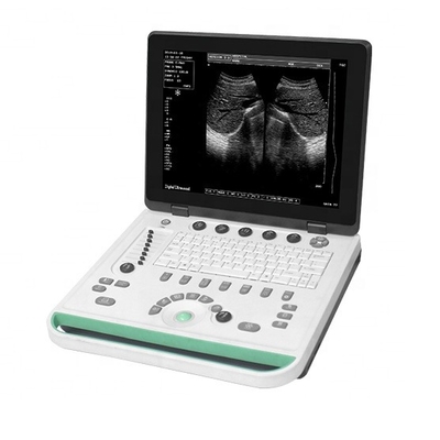 Urology 15 Inch Laptop Portable Medical Machine Physiotherapy Ultrasound Instruments For Veterinarian