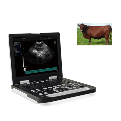 Swine Ultrasound Scanner Diagnostic System Portable Veterinary Ultrasound Scanner