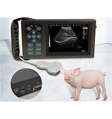 Hopsital Animal B-ultrasound Machine for Veterinary Pets B-ultrasound Machine for Livestock Portable Ultrasound Machine