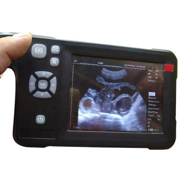 Four-Color Portable Cattle Ultrasound Scanner Livestock Pregnancy Testing Machine Ultrasound Scanner PIG B Detector Portable Pseudocolor